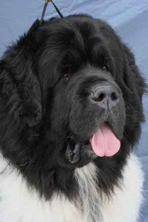 images/Duncan head shot 3-28-11.jpg
